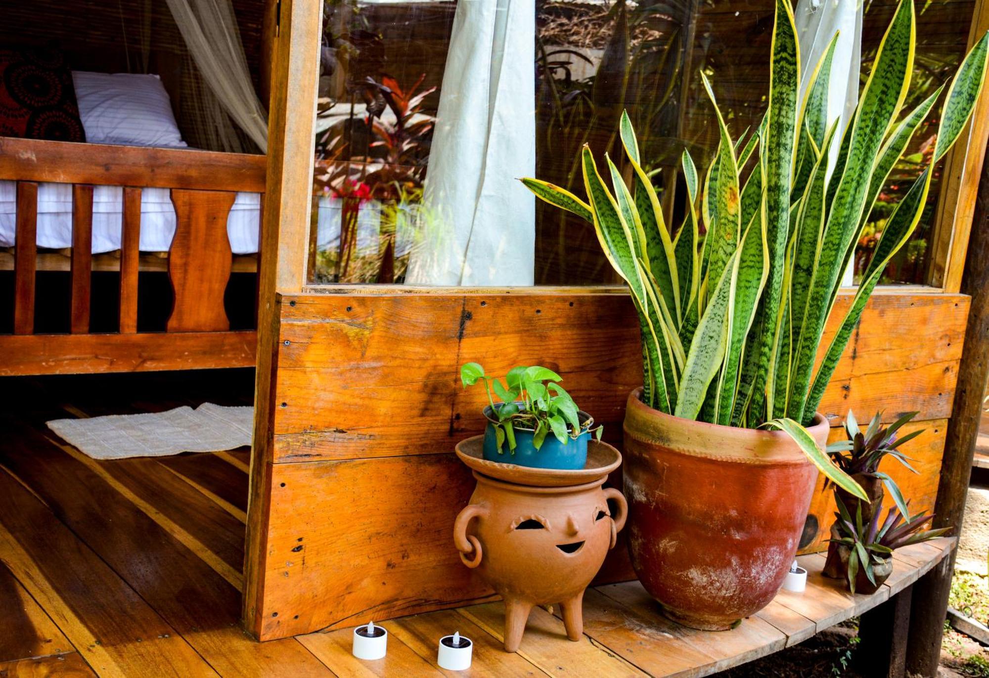 Casa Caracola Hotel Granada Eksteriør billede