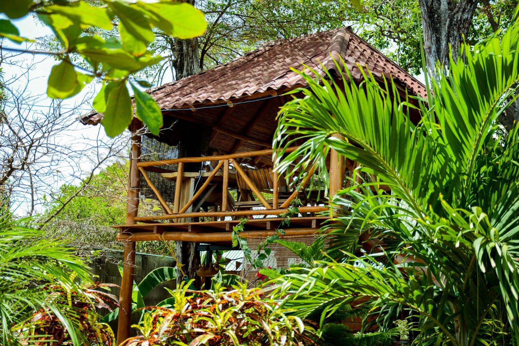 Casa Caracola Hotel Granada Eksteriør billede